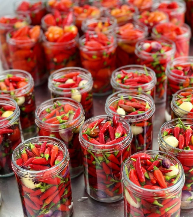 bocaux en saumure plantation paris shira bio