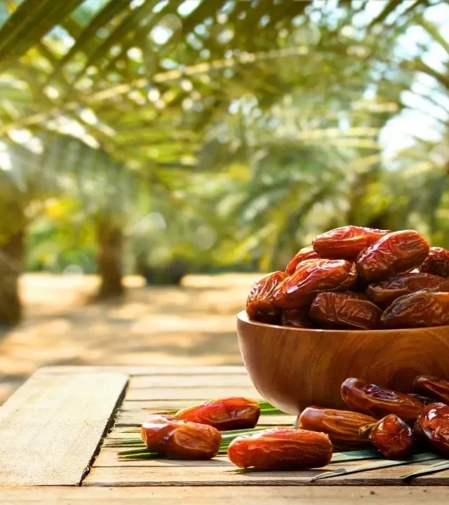 deglet nour datte 4 jpg